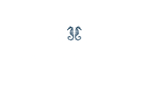 Logo Blanco islands