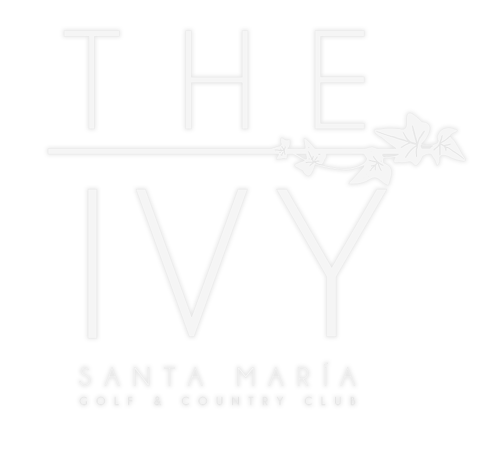 logo theivy 2