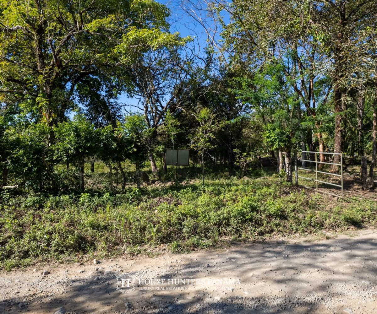 This exceptional 9 hectare land for sale in Boquete Panama presents a rare opportunity to own a scenic and versatile property