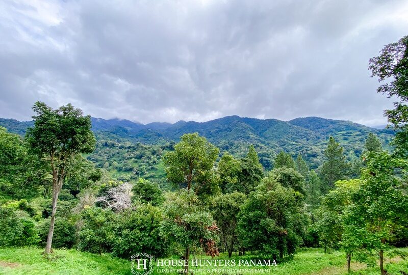 Build Ready Farm in Boquete Panama