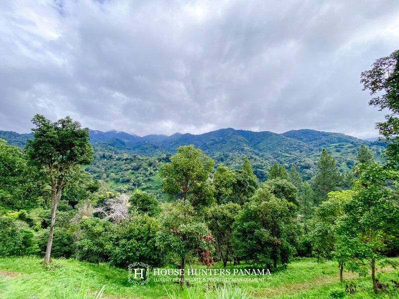 Build Ready Farm in Boquete Panama