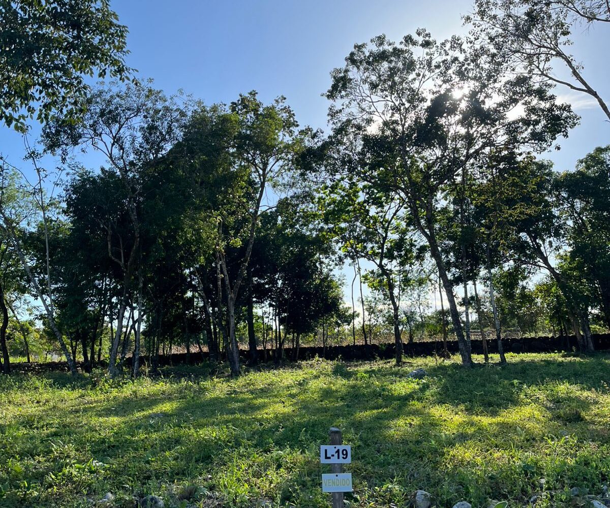 Residential Land in El Francés Panama