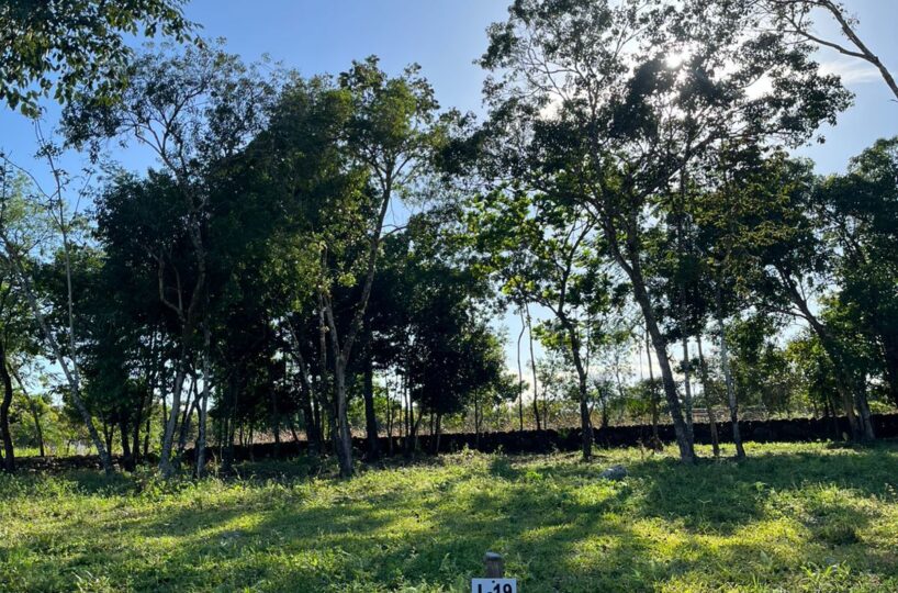 Residential Land in El Francés Panama