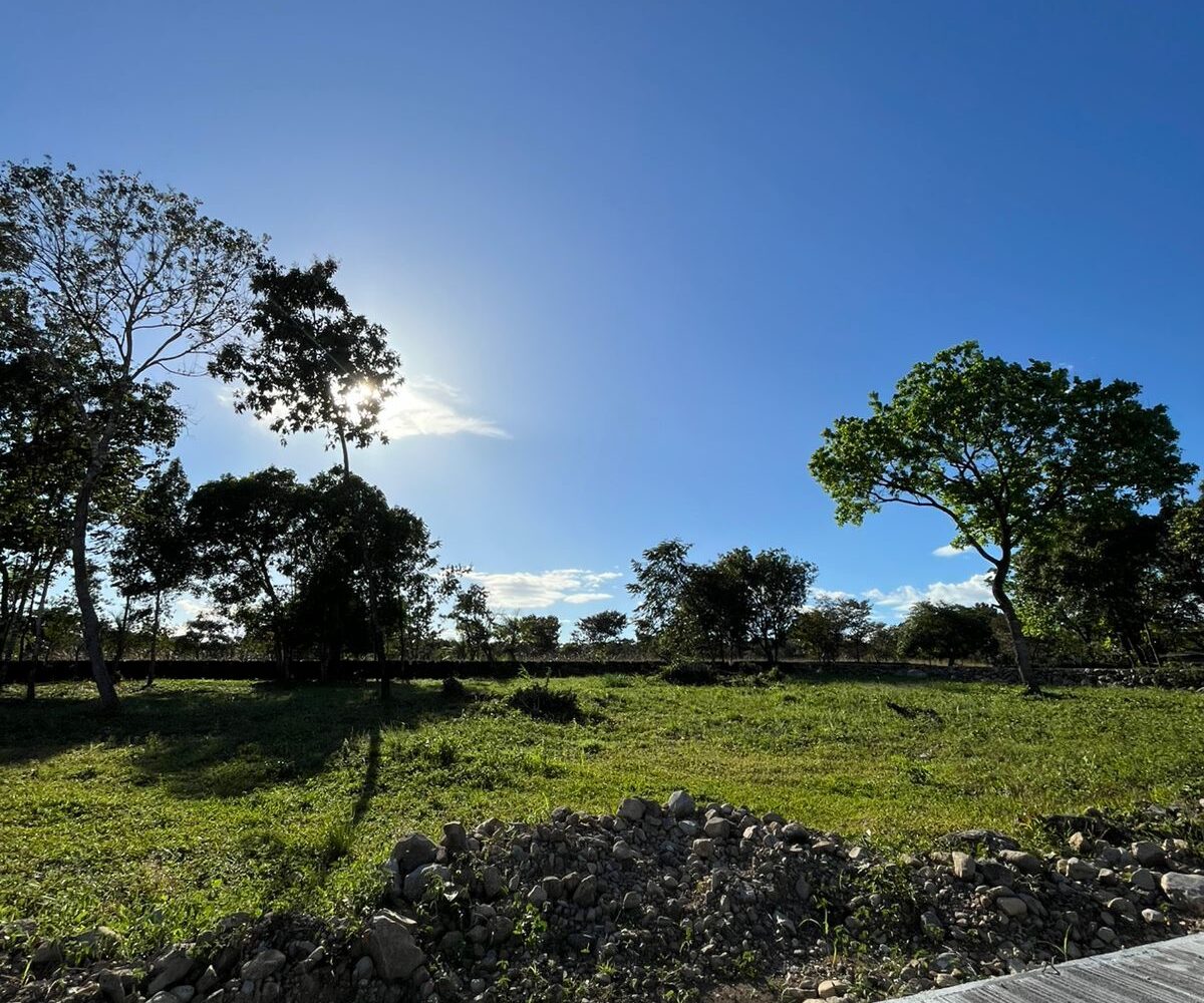 Countryside Land in Alto Boquete