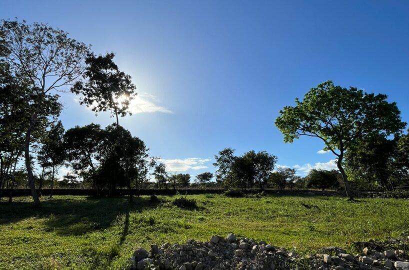 Countryside Land in Alto Boquete