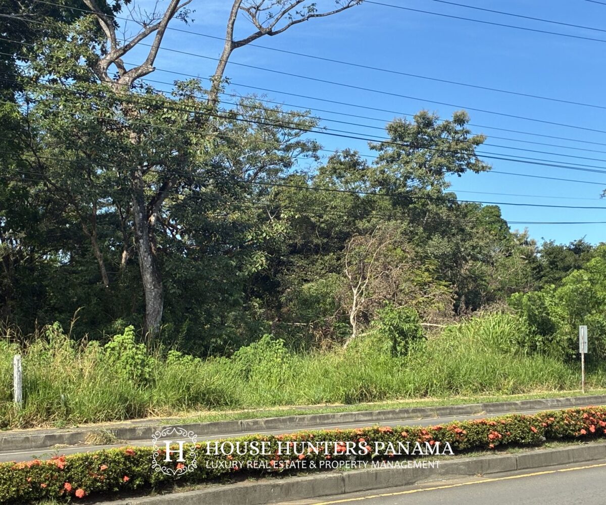 Development Land in Dolega Panama