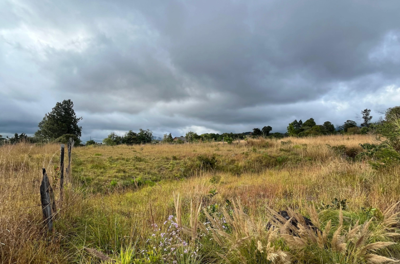 Exclusive Land in Volcan Panama