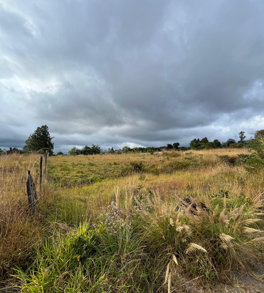 Exclusive Land in Volcan Panama