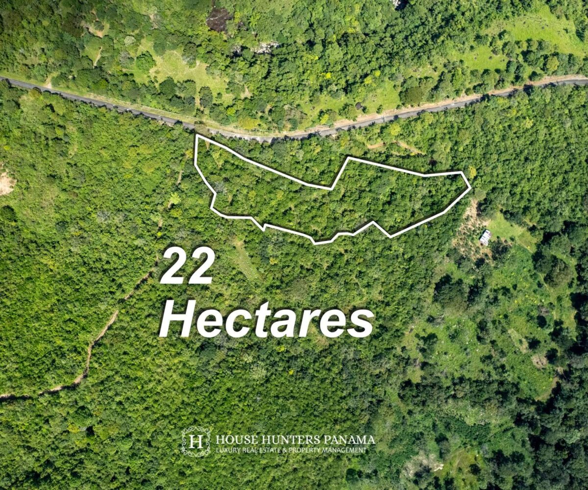 Forested Land in Caldera Panama