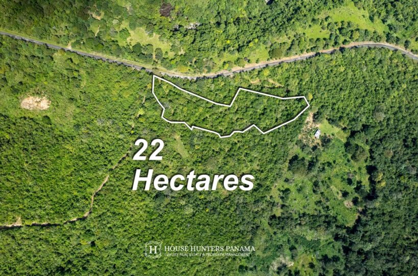 Forested Land in Caldera Panama