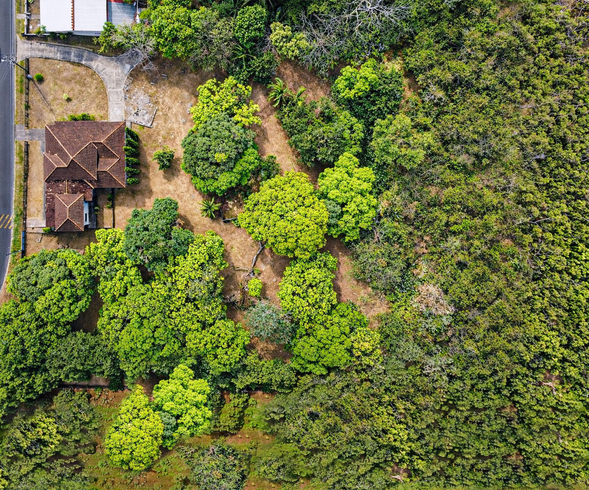 Santiago Panama Investment Property