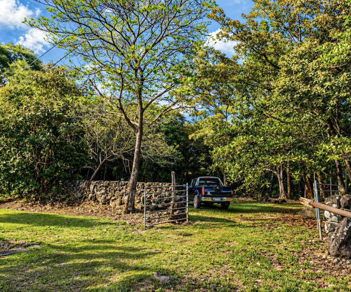 Potrerillos Panama Investment Land