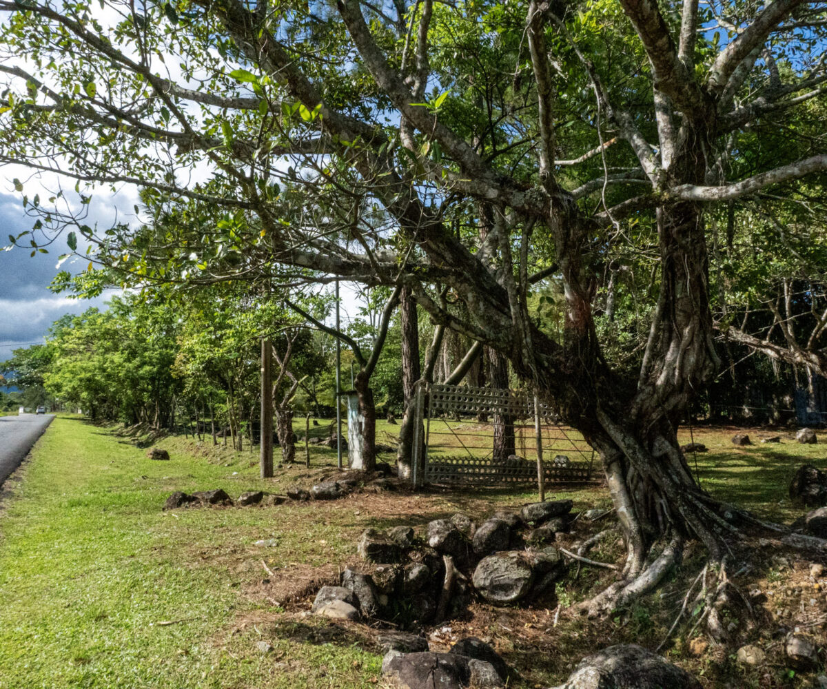 Potrerillos Panama Land Opportunity
