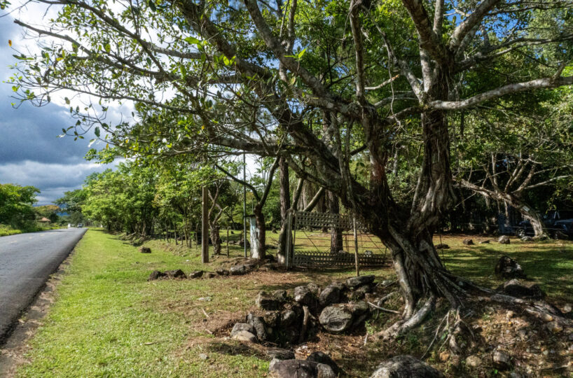 Potrerillos Panama Land Opportunity