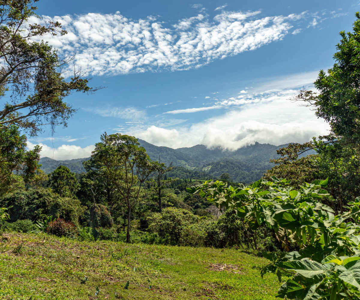 Scenic Highlands Land in Boquete Panama