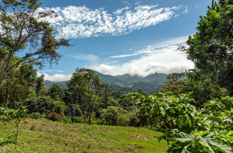 Scenic Highlands Land in Boquete Panama