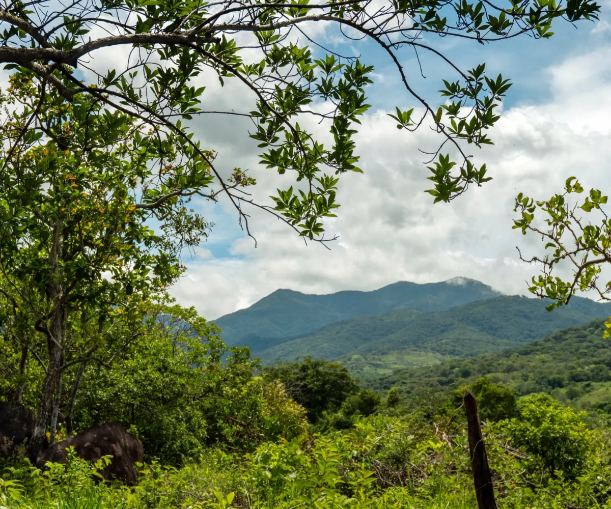 Build Ready Land Near Boquete Panama