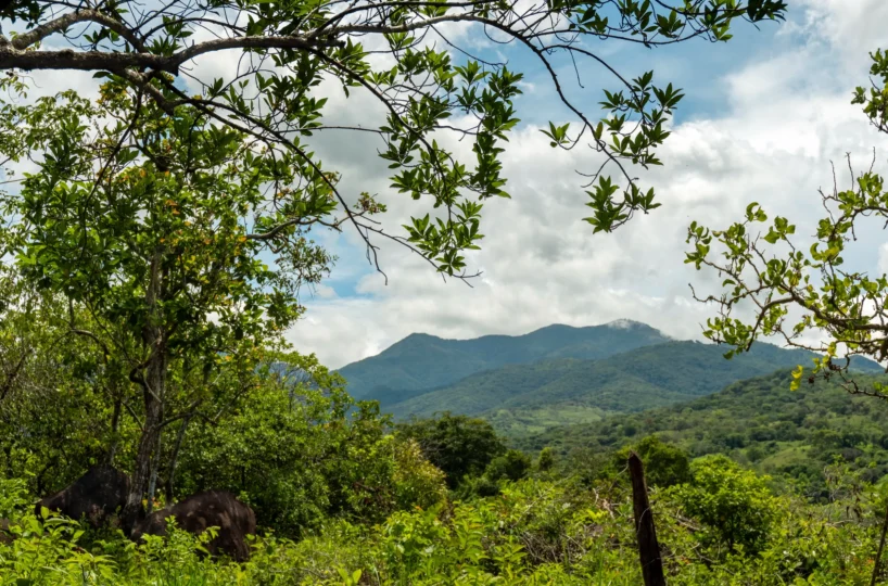 Build Ready Land Near Boquete Panama