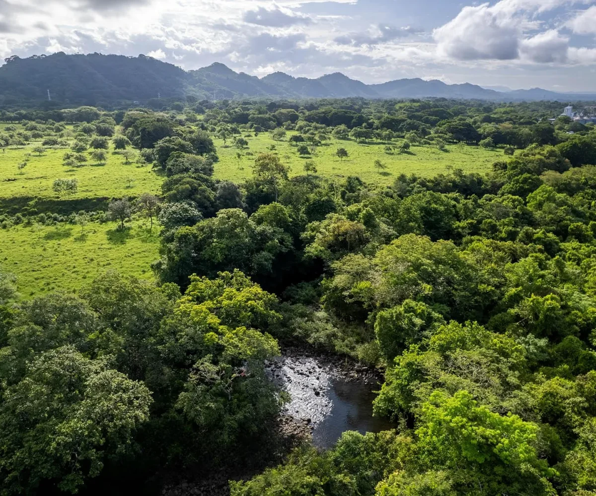 Development Land in Bagalá Panama