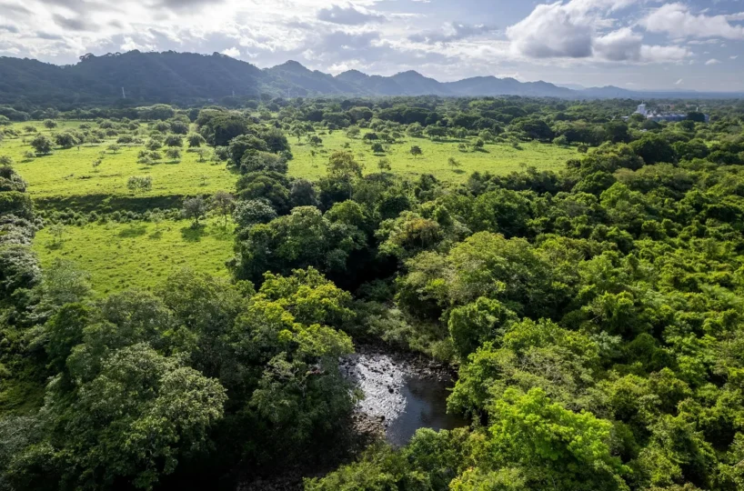 Development Land in Bagalá Panama