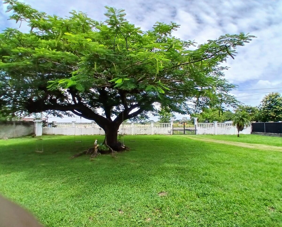 Real-Estate-in-Panama-0257-10