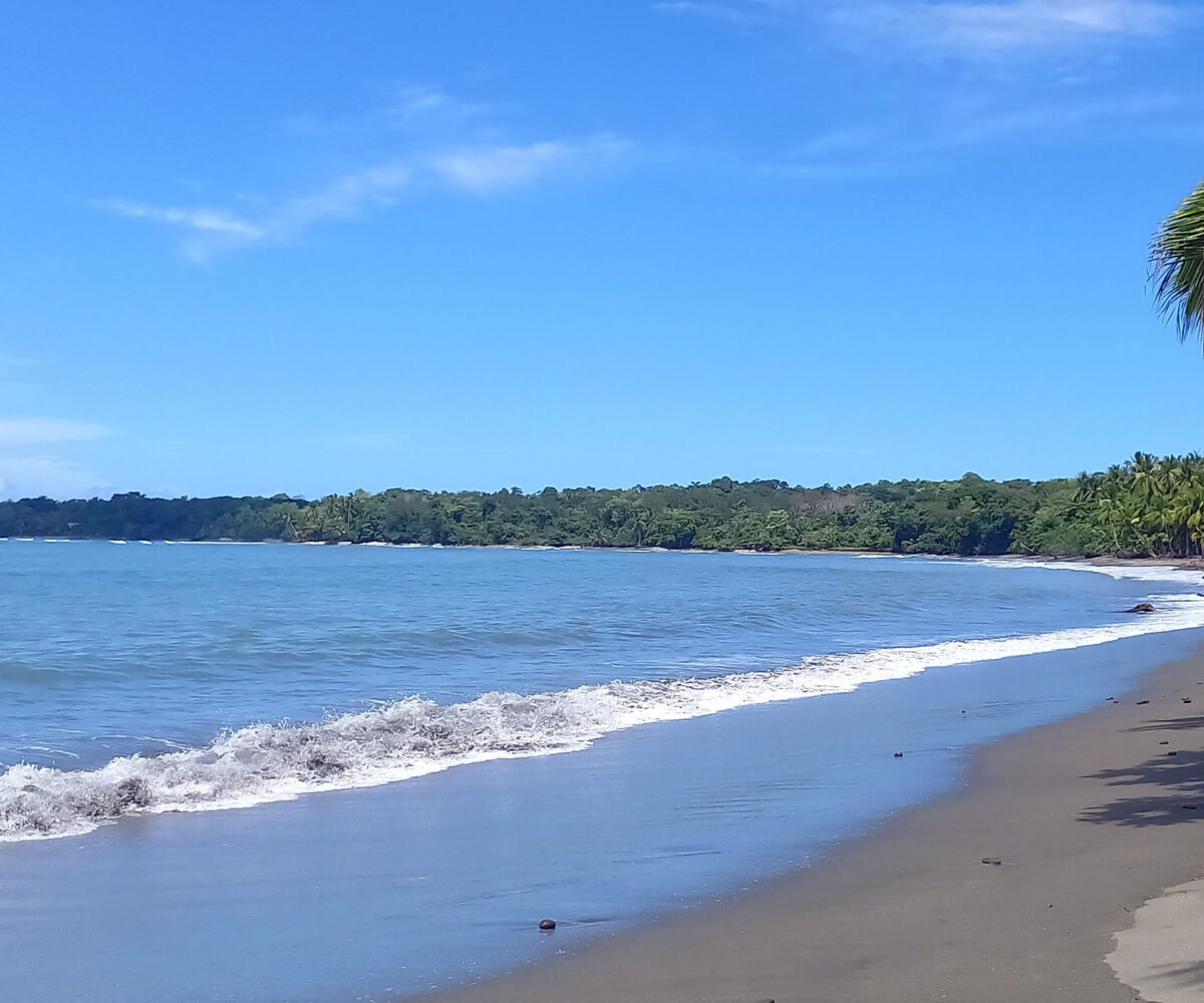 Beachfront Land in Puerto Armuelles Panama