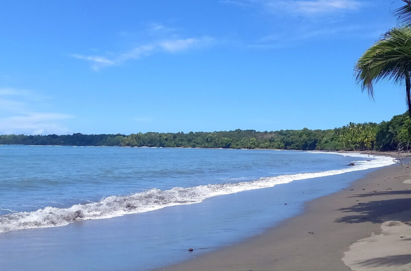 Beachfront Land in Puerto Armuelles Panama