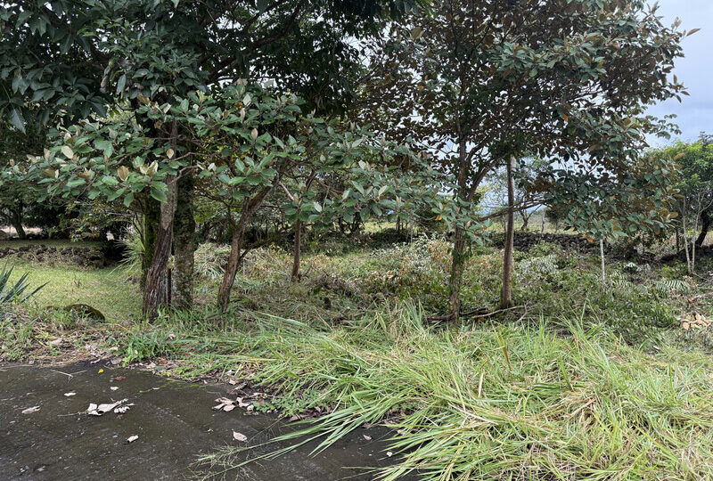 Buildable Lot in Alto Boquete Panama