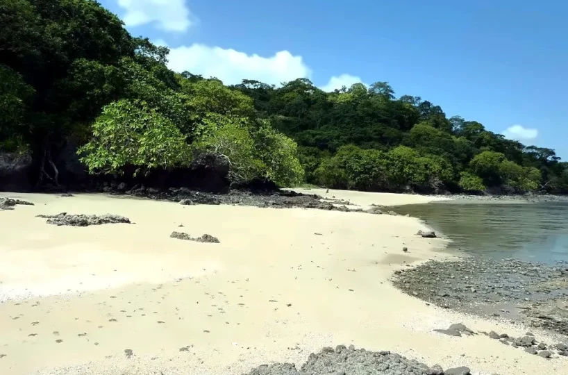 Beachfront Land in Capira Panama