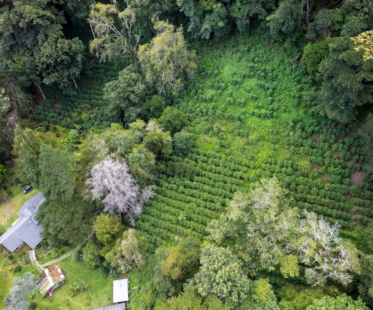 Luxury Mountain Estate in Volcan Panama