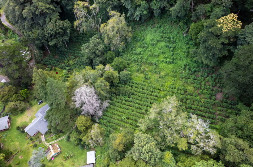 Luxury Mountain Estate in Volcan Panama