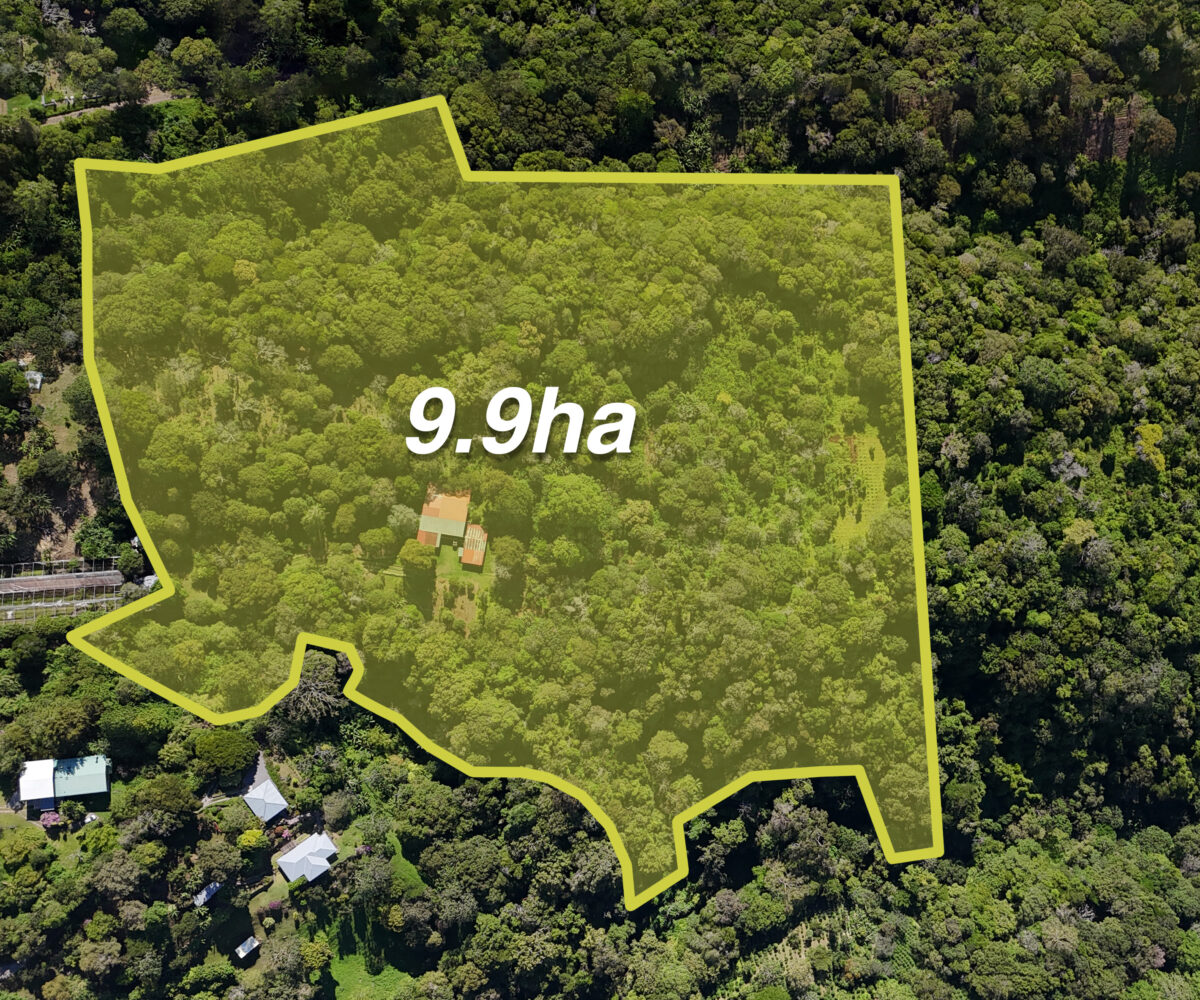 Investment Land in Boquete Panama