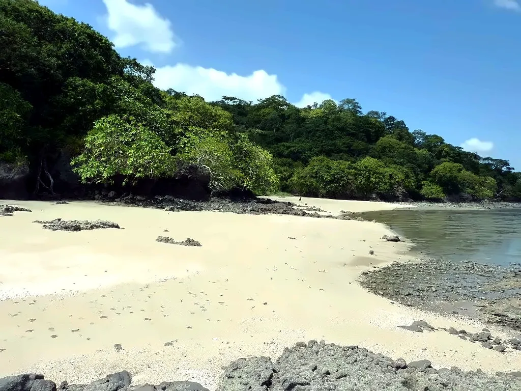 Oceanfront Land in Capira Panama