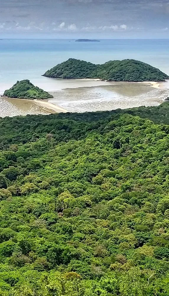 Oceanfront Land in Capira Panama