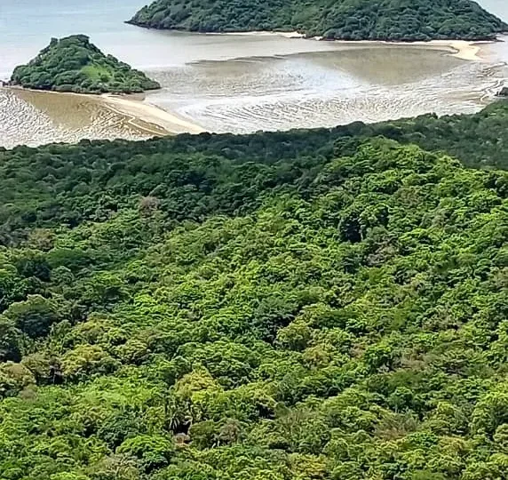 Oceanfront Land in Capira Panama