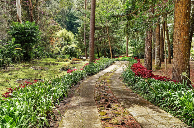 Riverfront Estate in Volcán Panama
