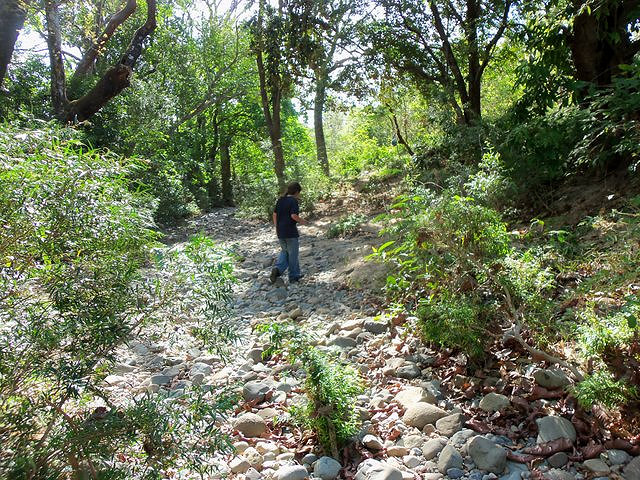 Riverfront Land Near Santa Fe Panama
