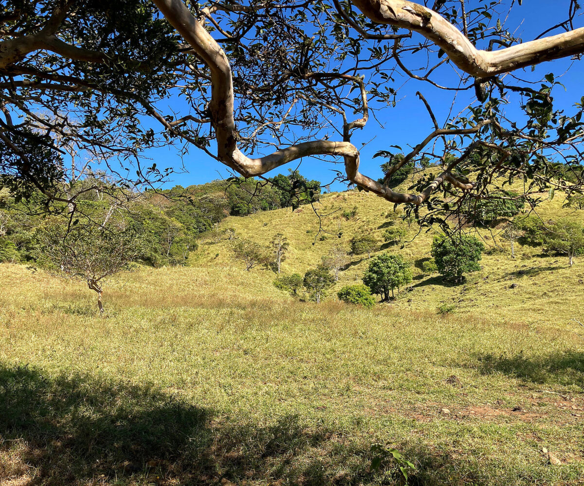 Private Mountain Retreat Near Boquete Panama