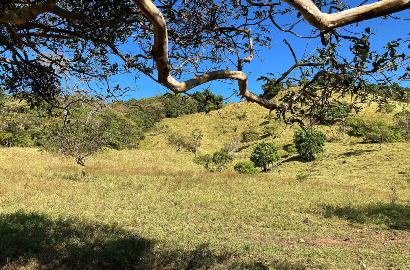Private Mountain Retreat Near Boquete Panama