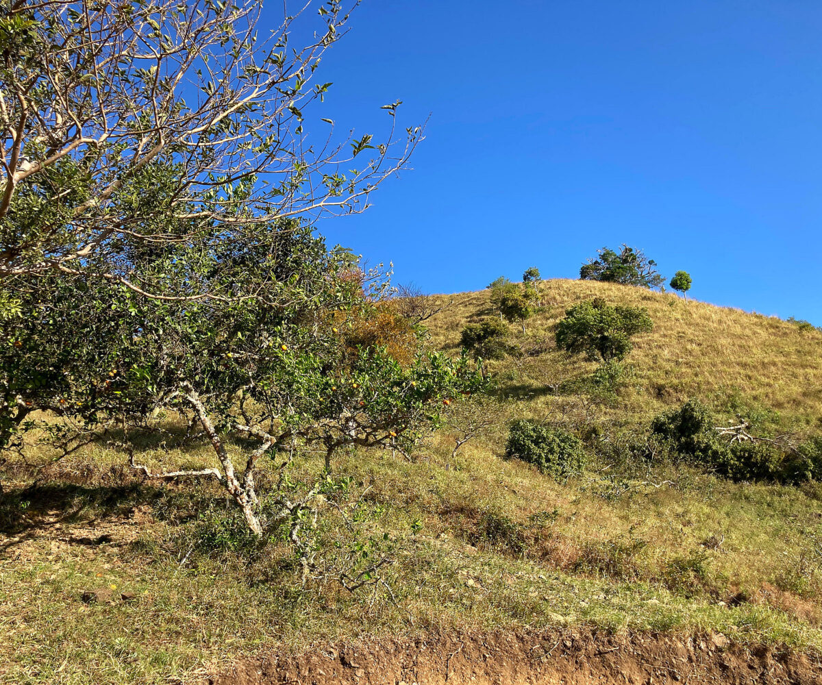 Private Mountain Retreat Near Boquete Panama