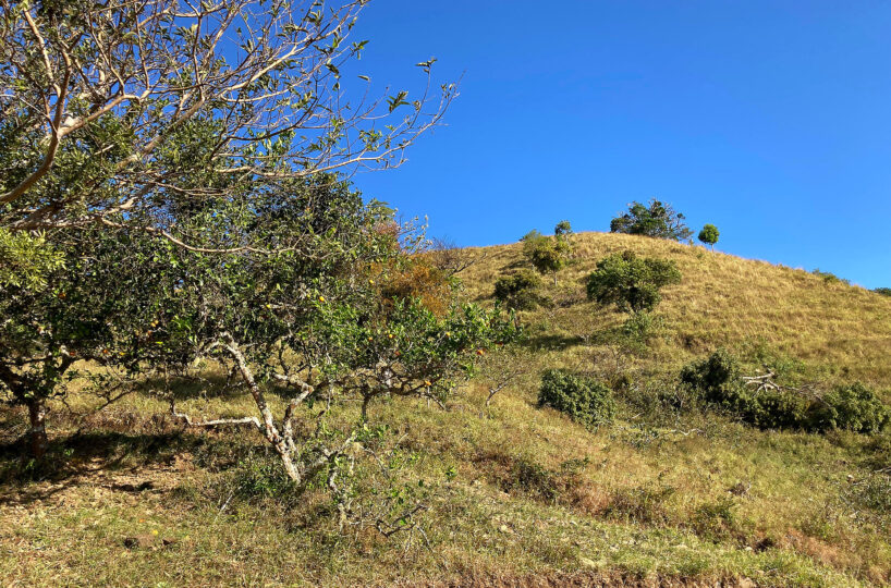 Private Mountain Retreat Near Boquete Panama