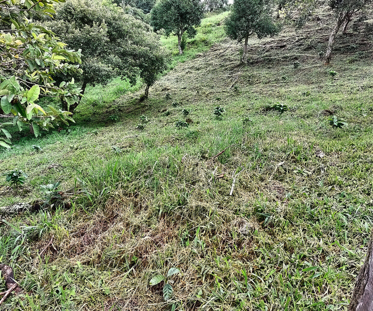 Private Mountain Retreat Near Boquete Panama