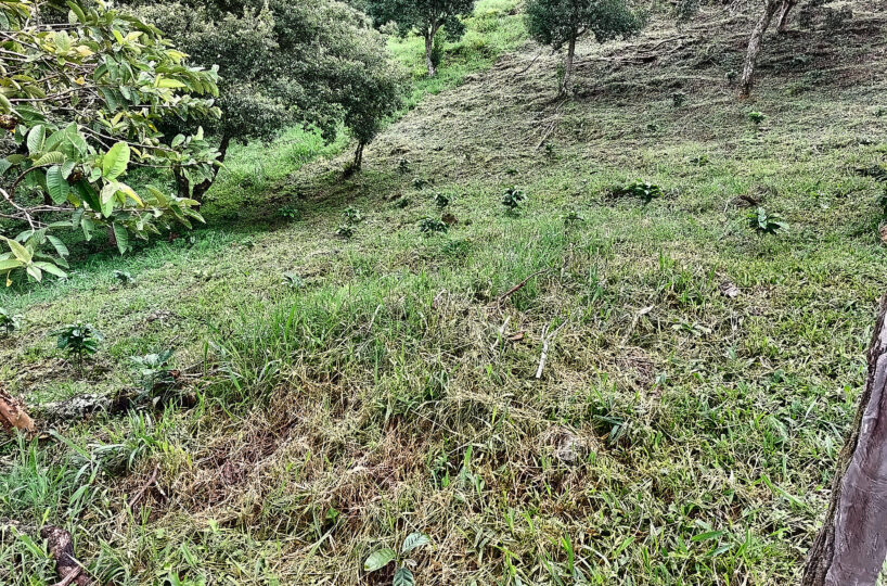 Private Mountain Retreat Near Boquete Panama