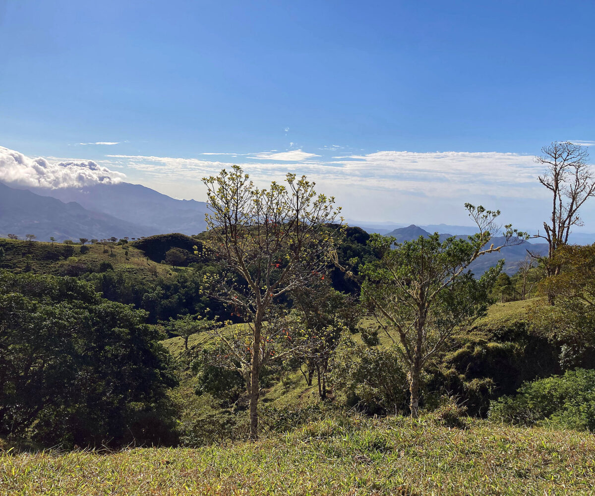 Private Mountain Retreat Near Boquete Panama