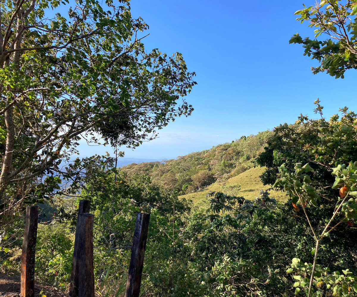 Private Mountain Retreat Near Boquete Panama